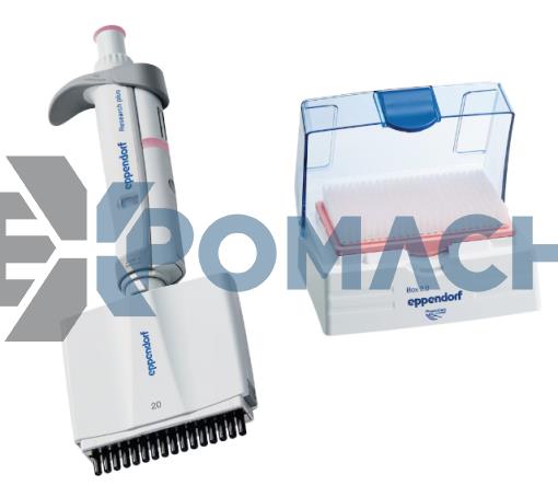 EPPENDORF Research plus Move It