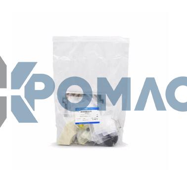 AGILENT DS 202 Rotary Vane Pumps